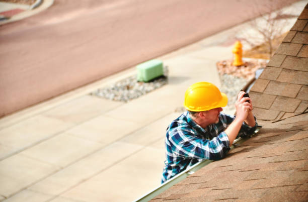 Best Roof Moss and Algae Removal  in Monroe, WA